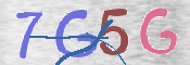 CAPTCHA 驗證圖片
