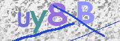 CAPTCHA 驗證圖片