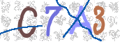 CAPTCHA 驗證圖片