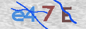CAPTCHA 驗證圖片