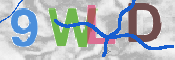 CAPTCHA 驗證圖片