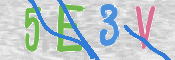 CAPTCHA 驗證圖片