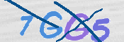 CAPTCHA 驗證圖片